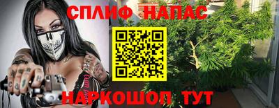 крисы Краснознаменск