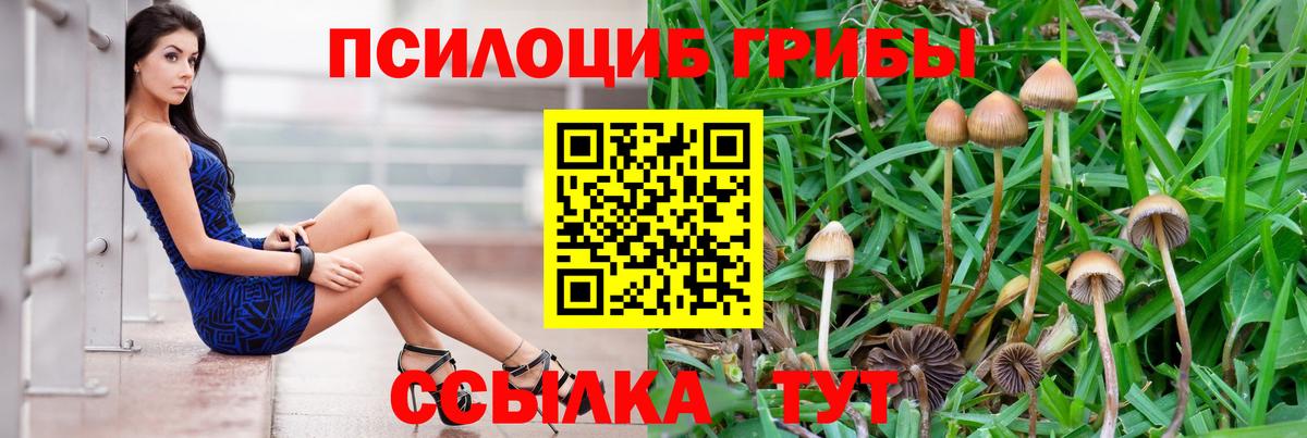 Галлюциногенные грибы ЛСД Волхов