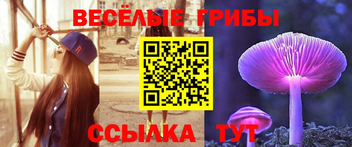 купить закладку  Вход с VPN  Волхов  Псилоцибиновые грибы Psilocybine cubensis 